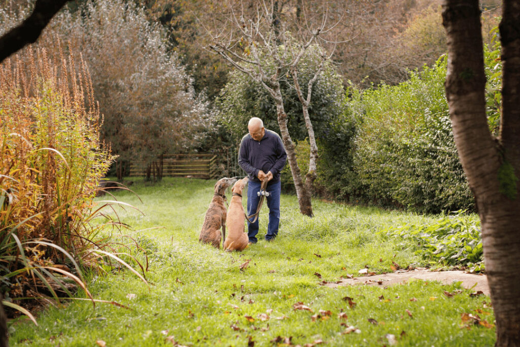 John in a field, surrounded by trees, looking at his two dogs and holding their leads, as they sit at his feet. 