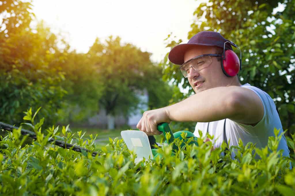 A man wearing ear defenders uses an electrical strimmer to trim a hedge.