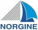 Norgine logo.